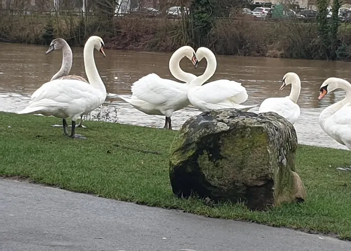 Centre Château-Thierry